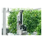 ピーマン自動収穫ロボットのロゴ