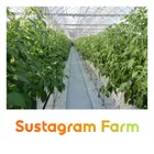 Sustagram Farmのロゴ